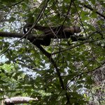 Photo taken by Kevin S