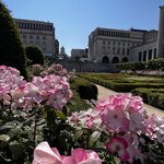 Photo taken by Martin D