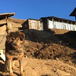 Photo taken by Ailson S