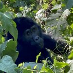 Photo taken by Julien C