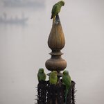 Photo taken by Kristy P