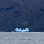 Photo taken by Joe S