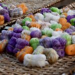 Photo taken by Anil C