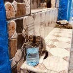 Photo taken by Laura M