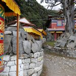 Photo taken by Brian U