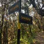 Photo taken by yancey A