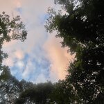 Photo taken by Sofia W