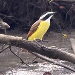 Photo taken by Morton A