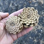 Photo taken by Lisa C