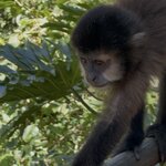 Photo taken by maggie k