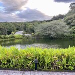 Photo taken by Julie G