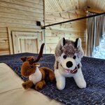 Photo taken by Caitlin P