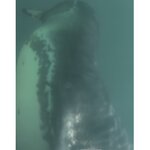 Photo taken by Sharon J