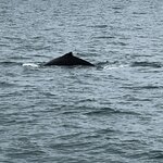 Photo taken by stefanie c