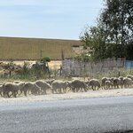 Photo taken by Miriam L