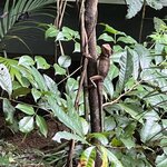 Photo taken by Jennifer H