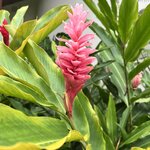 Photo taken by Cindy R