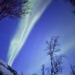 Photo taken by Tracy K