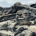 Photo taken by Gary W