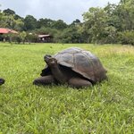 Photo taken by Ben S