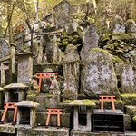 Photo taken by Kaya W