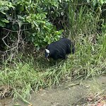 Photo taken by Cindy H