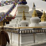 Photo taken by Laurie A