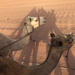 Photo taken by Becky D