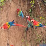 Photo taken by Jeff G