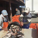 Photo taken by Jane A