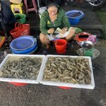 Photo taken by Jacqui O