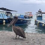 Photo taken by Ben S