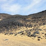 Photo taken by Rozi B