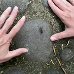 Photo taken by Breann B