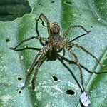 Photo taken by Jeffrey B