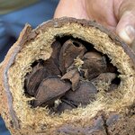 Photo taken by Sathees R