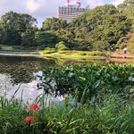 Palace Gardens | Photo taken by peter e