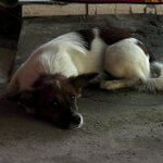 Photo taken by Brian C