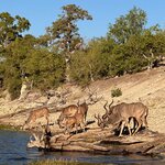 Photo taken by Tom B