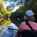 Photo taken by Linda P