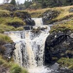 Photo taken by Danielle P