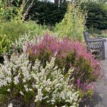 Photo taken by Ricky W