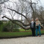 Photo taken by Kathryne M