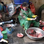 Photo taken by Barry Y