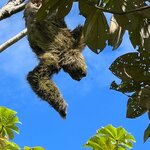 Photo taken by Anna L