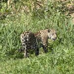 Photo taken by Sathees R