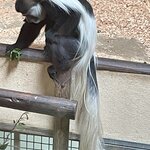 Photo taken by Laura R