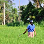 Photo taken by Laurence S