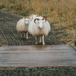 Photo taken by Jane V