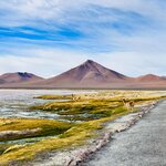 Photo taken by Collins M